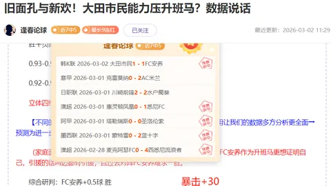 “NBA常规赛：黄蜂败给猛龙”